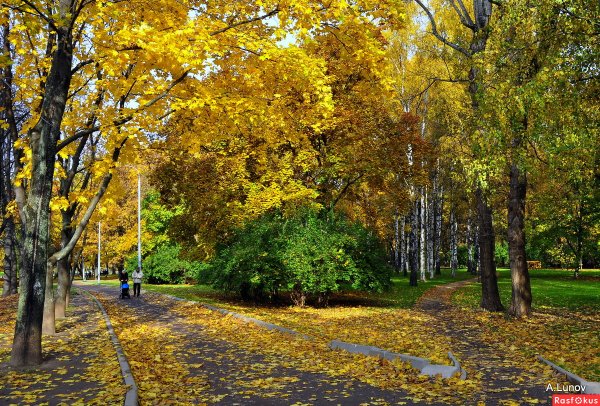 Парк Дубки Химки осень