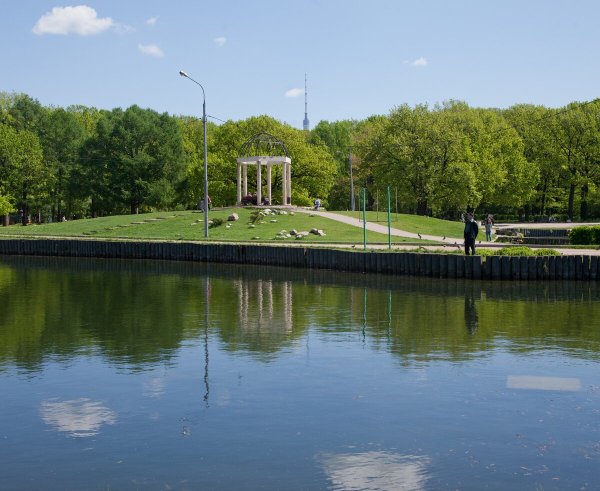 Парк Дубки Тимирязевская