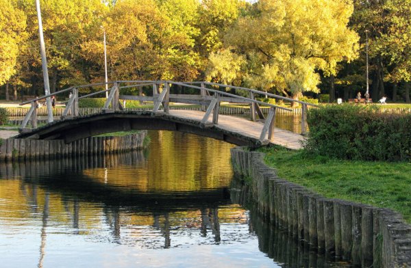 Парк Дубки Москва