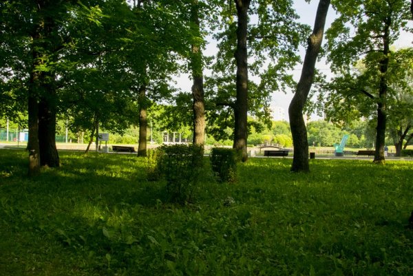 Село Троицкое Чеховский район парк Дубки