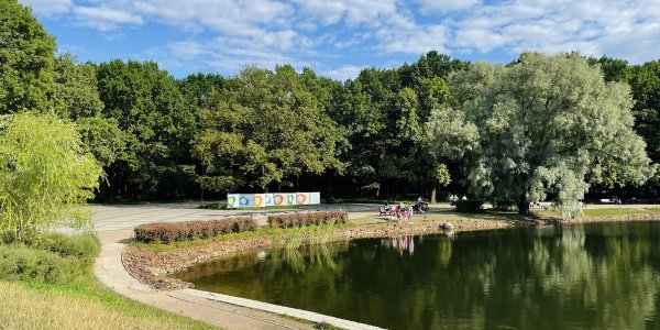 Парк Дубки Тимирязевская фото