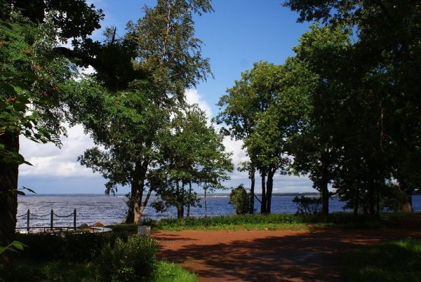 Парк Дубки в Сестрорецке