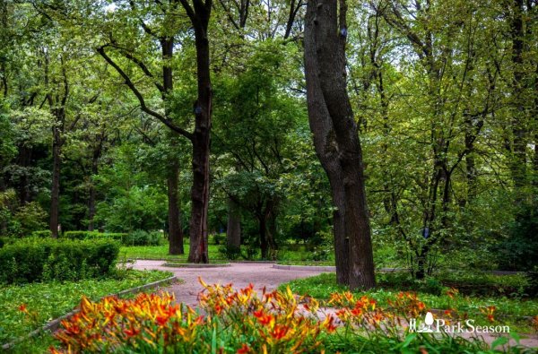 Парк Дубки Арзамас