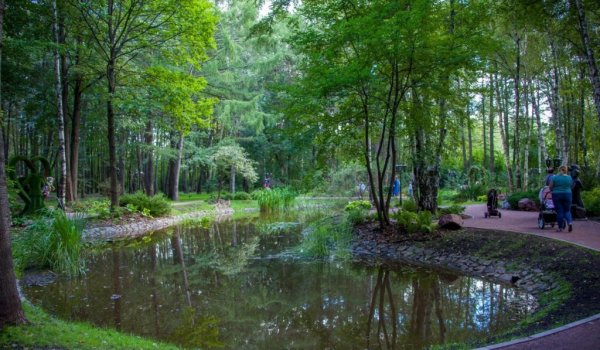Парк Химки Дубки фонтан