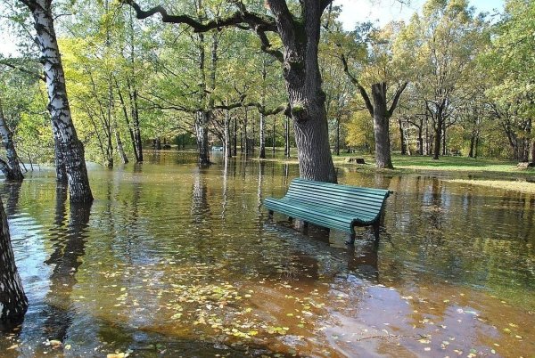 Сестрорецкий парк Дубки