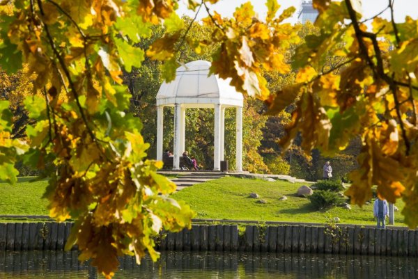 Парк Дубки осенью Химки