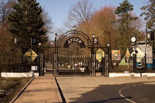 Парк Дубки Санкт-Петербург