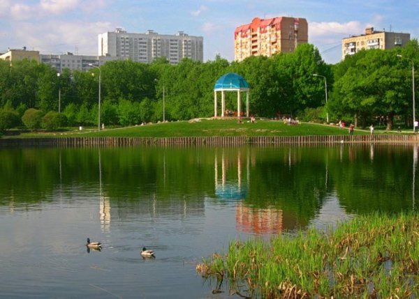 Парк Дубки в Тимирязевском районе