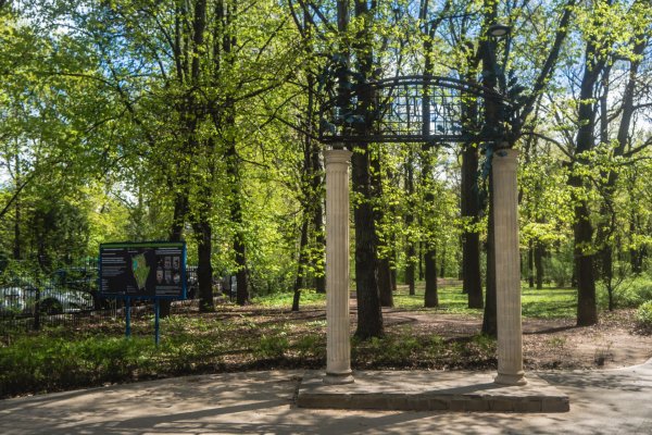 Село Троицкое Чеховский район парк Дубки