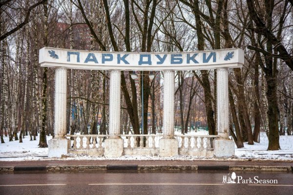 Парк Дубки Химки