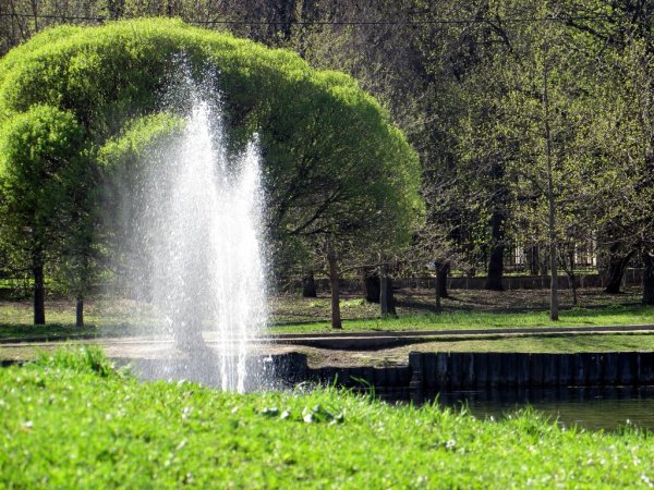 Парк культуры и отдыха "Дубки"