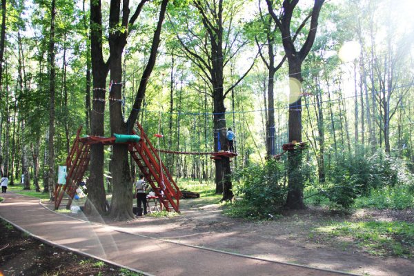 Дубки Химки