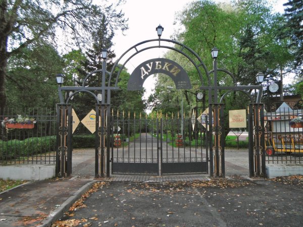 Сестрорецкий парк Дубки