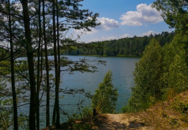 Петровское озеро Ленинградская область