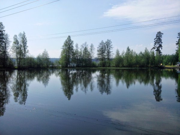 Оз Петровское Ленинградская область