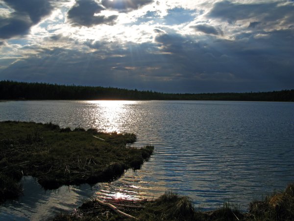 Озеро Петровское Алтайский край