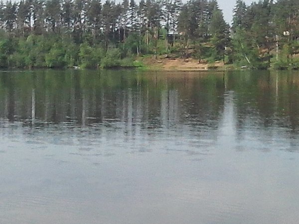 Озеро Петровское Алтайский край