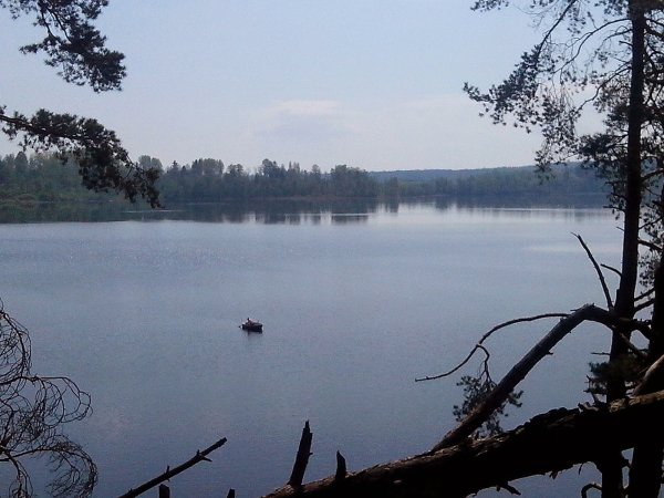 Озеро Петровское Алтайский край