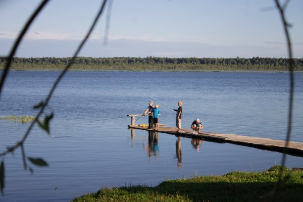 Озеро Петровское Алтайский край