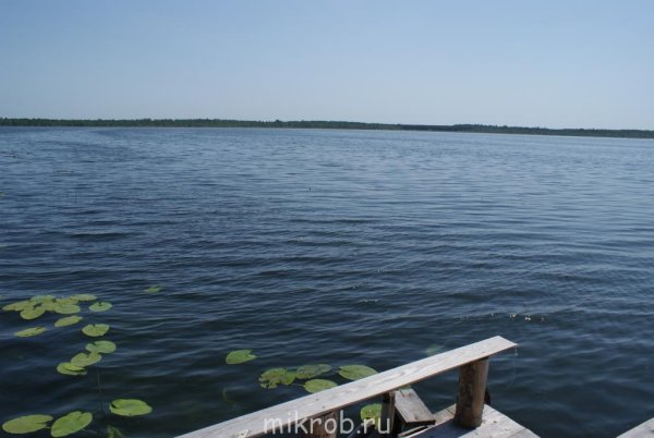 Озеро Петровское Алтайский край