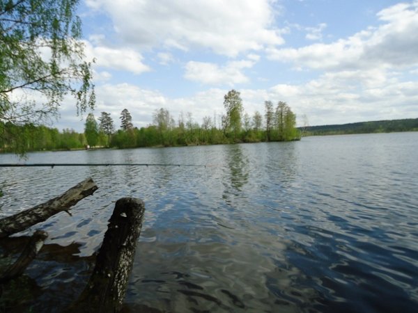 Петровское озеро Ленинградская область Выборгский район