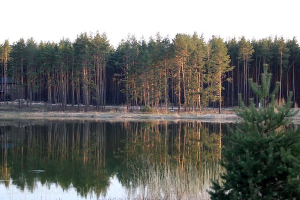 Пётровские озёра Воронеж