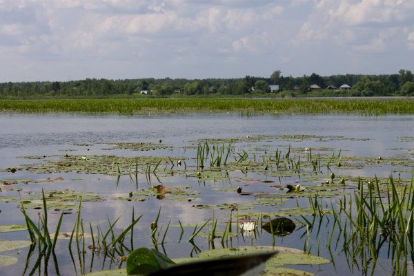 Озеро Петровское Алтайский край