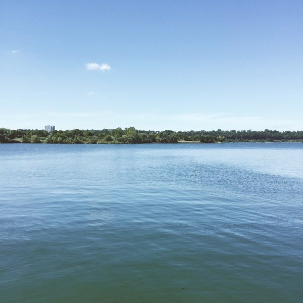 Петровское озеро Ленинградская область