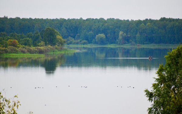 Озеро Петровское Омская область, Тарский район
