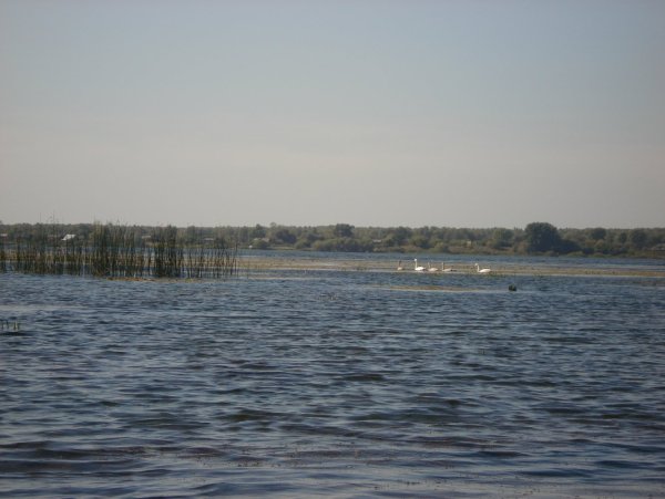 Озеро Петровское Троицкий район