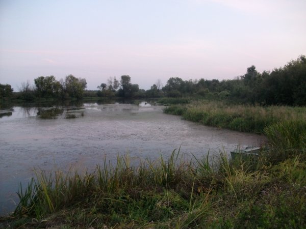 Маливо, Петровское озеро