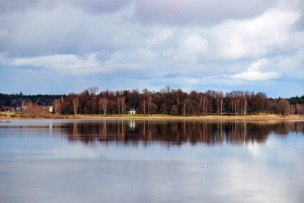 Петровское озеро Псковская область
