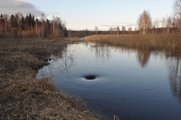 Оз великое Тверская область