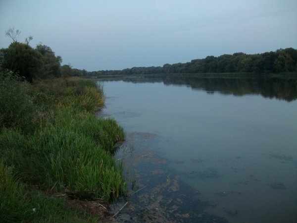 Коломна Маливо