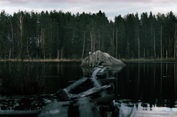Петровское озеро Ленинградская область