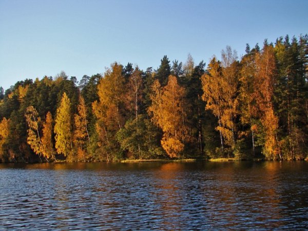 Петровское озеро Ленинградская область