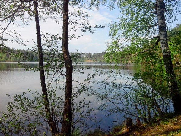 Петровское озеро Выборг