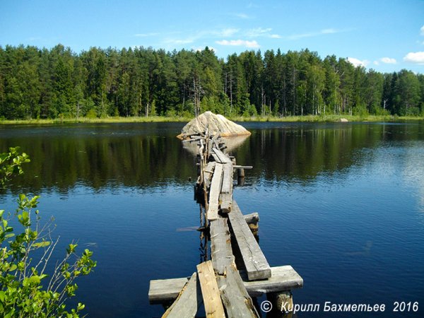 Озеро Петровское Алтайский край