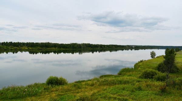 Озеро Петрово Тарский район