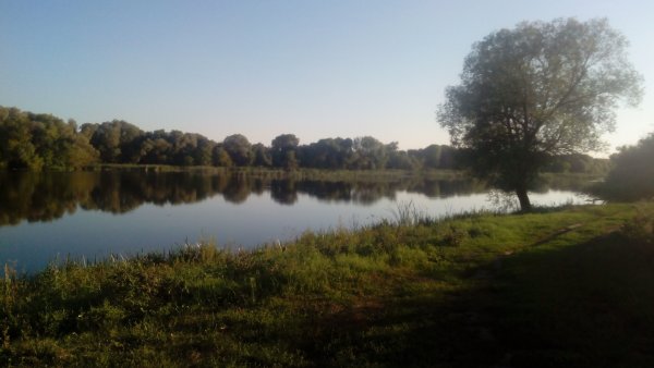 Озеро Петровское Смоленская область
