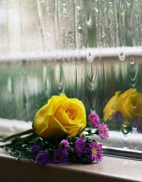 Дождливое утро летом