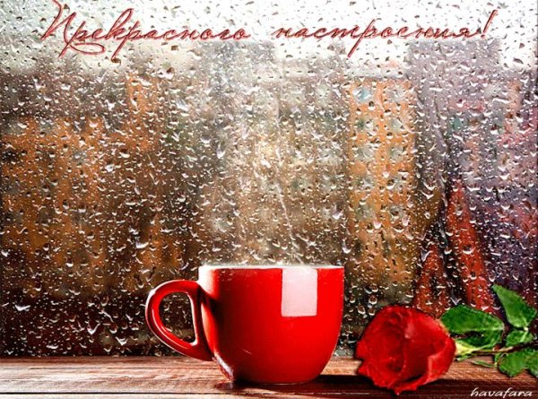 Доброе дождливое утро