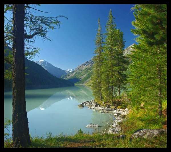 Кучерлинское озеро утро