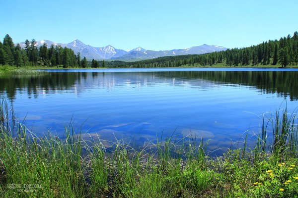 Озеро зеркальное Алтайский край