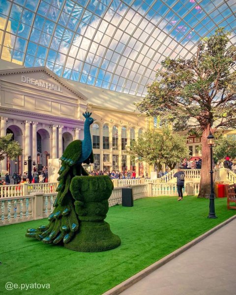 Остров мечты в Москве