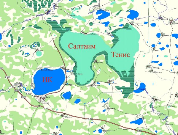 Озеро Салтаим Омская область на карте