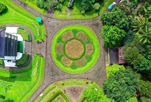 Ботанический сад Краснодар сверху