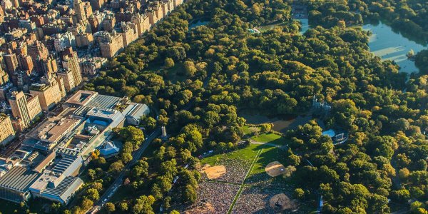 Улица Ботаническая Москва вид сверху