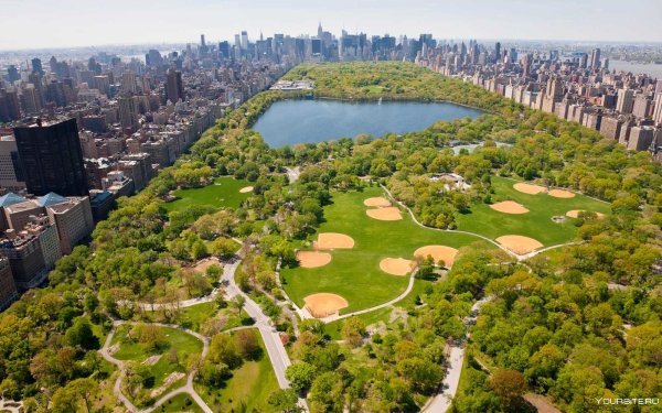 Центральный парк Нью-Йорк