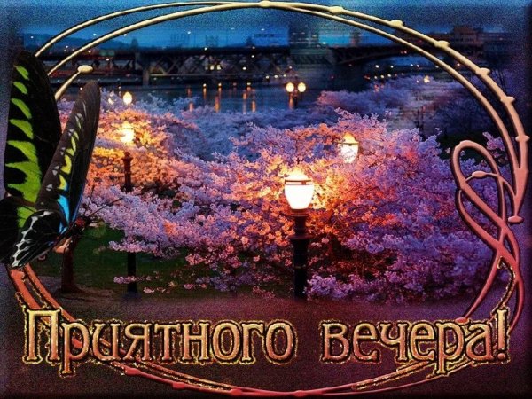Приятного вечера